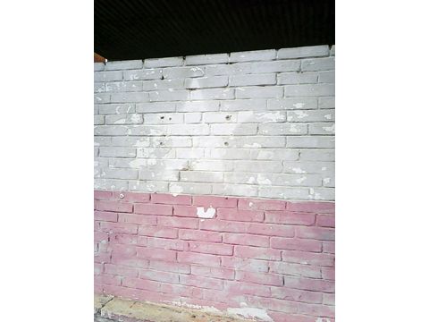 Foto 31
